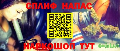 jwh Будённовск