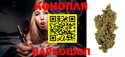 jwh Будённовск