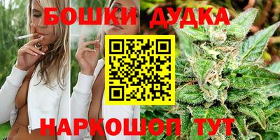 сатива Бузулук