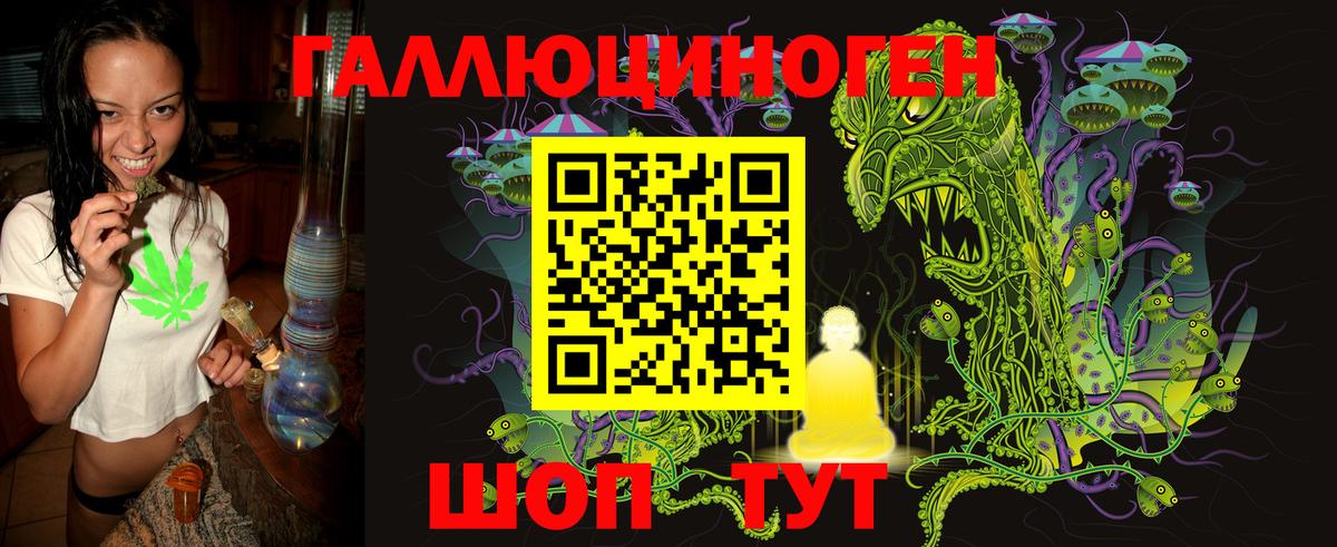 Новодвинск  Галлюциногенные грибы Psilocybe  Вход с VPN 